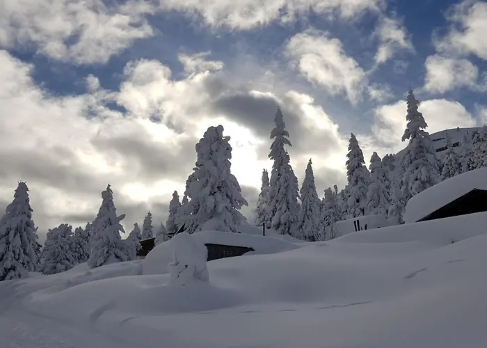 Schwaiger Alpen-ferienwohnung Auf 1800m *
