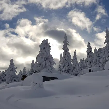 Schwaiger Alpen-ferienwohnung Auf 1800m *